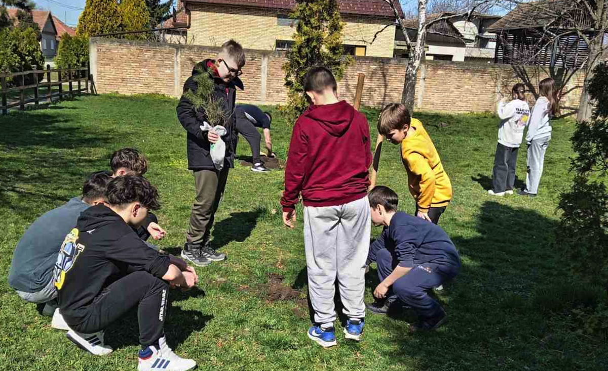 Ученици садили четинаре у дворишту школе